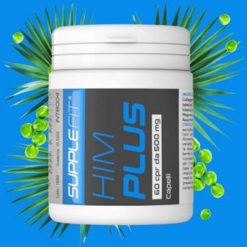 HIM PLUS 60 CPR DE 500 MG I COD.: INTB004