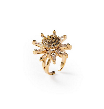 Bague M'ama, Non m'ama plaquée or 24 carats - Cod.: BIGAG011